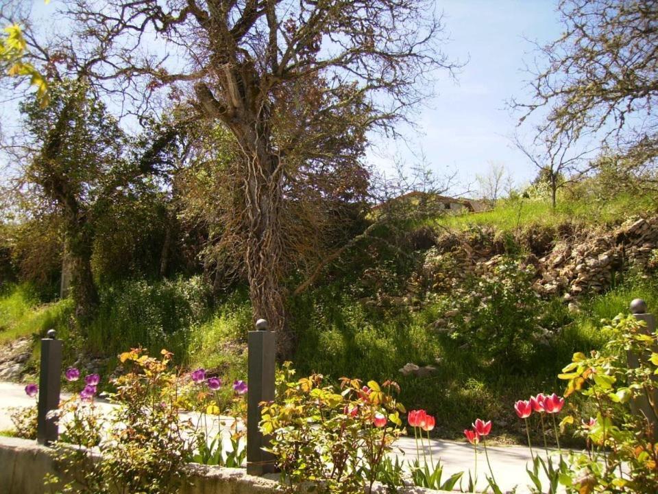 Casa Rural Fuentetrigo Brizuela المظهر الخارجي الصورة